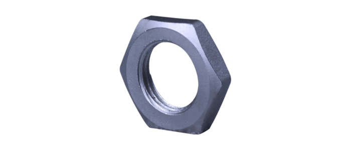 Stainless Steel Check Nut (Class-150)