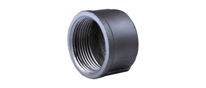 Stainless Steel Round Cap Plug (Class-150)