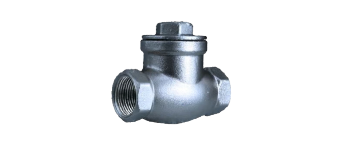 Stainless Steel Swing Check Valve Screwed End