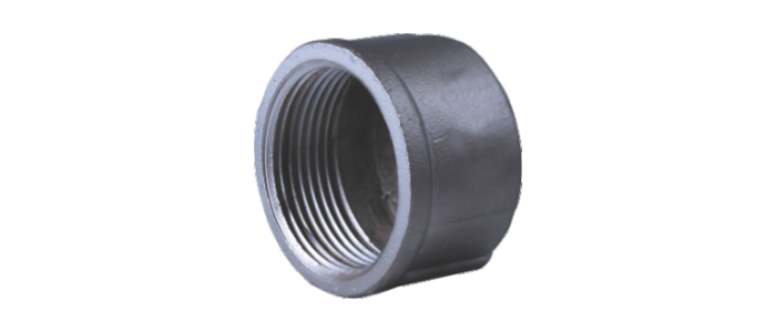Stainless Steel Round Cap Plug (ISO - 4144)